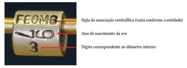 Imagem mostrando elementos de uma anilha oficial regulamentada pelo IBAMA.