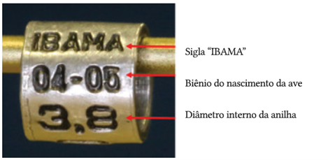 Imagem mostrando elementos de uma anilha oficial regulamentada pelo IBAMA.