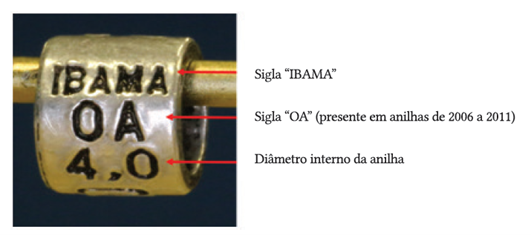Imagem mostrando elementos de uma anilha oficial regulamentada pelo IBAMA.
